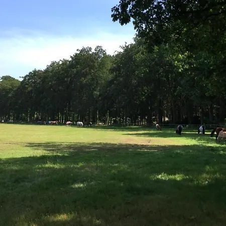 Boerderij De Enkhoeve Laag-Soeren