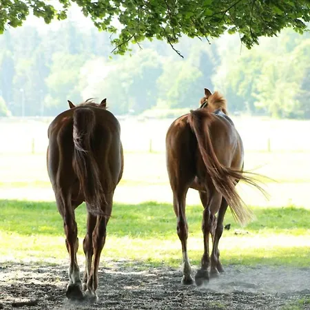 Boerderij De Enkhoeve Bed & Breakfast Laag-Soeren