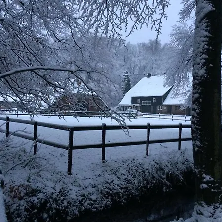 Bed & Breakfast Boerderij De Enkhoeve *