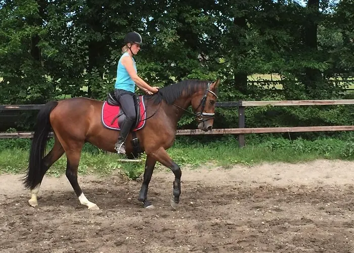 Boerderij De Enkhoeve Отель типа 