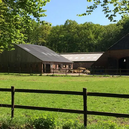 Boerderij De Enkhoeve לינה וארוחת בוקר 3*