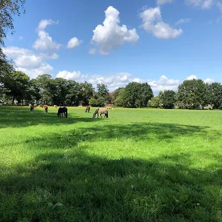 Boerderij De Enkhoeve 3*