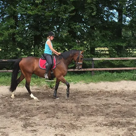 Boerderij De Enkhoeve Bed & Breakfast Laag-Soeren