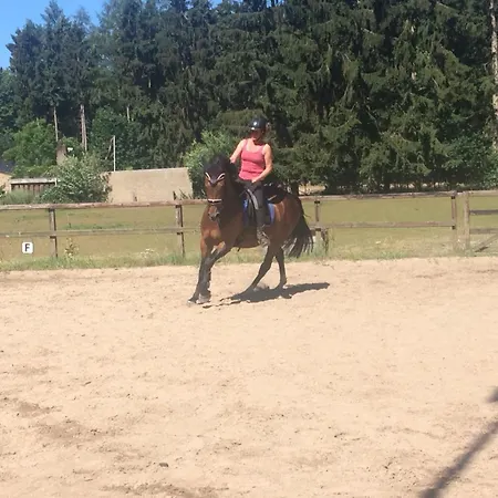 Boerderij De Enkhoeve Laag-Soeren