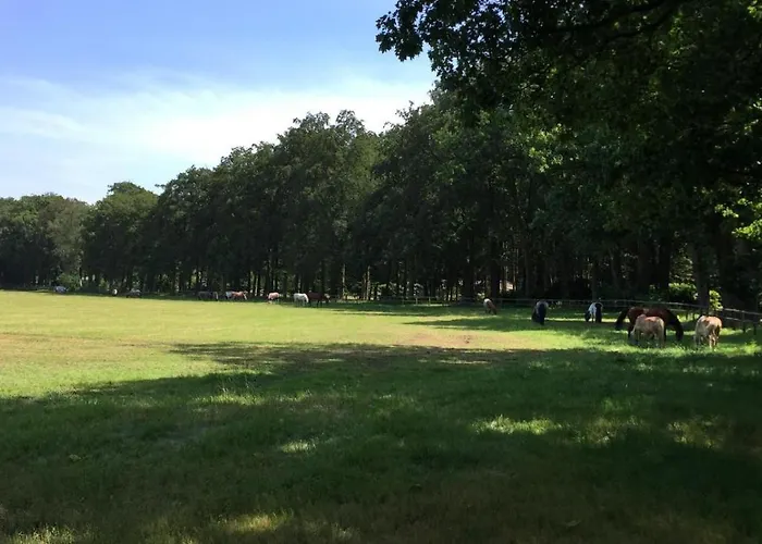 Boerderij De Enkhoeve Laag-Soeren