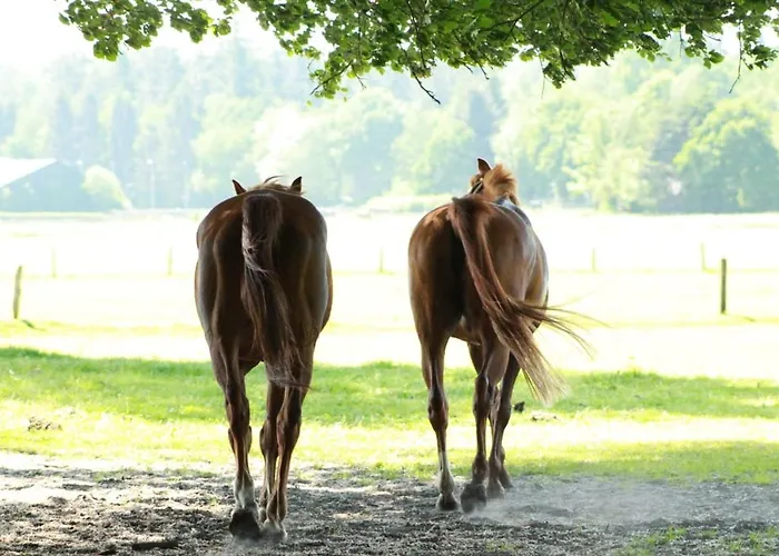 Boerderij De Enkhoeve Bed & Breakfast Laag-Soeren