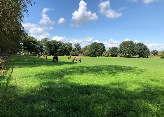 Boerderij De Enkhoeve 3*