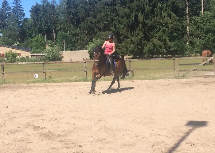 Boerderij De Enkhoeve Laag-Soeren